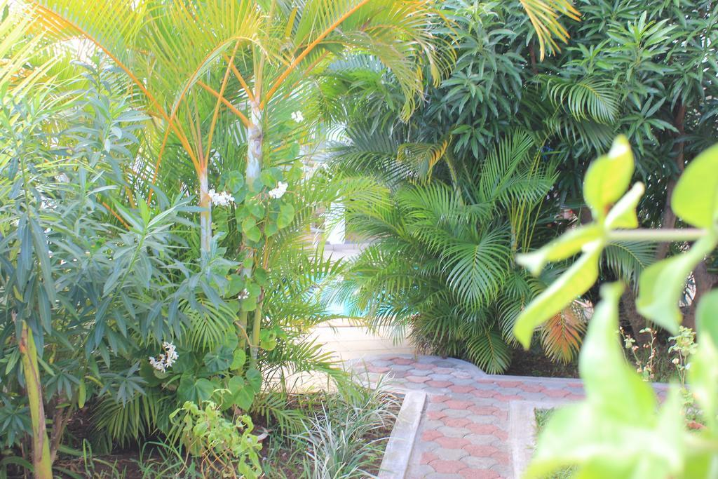 Lebovallon B&B Mahébourg Oda fotoğraf